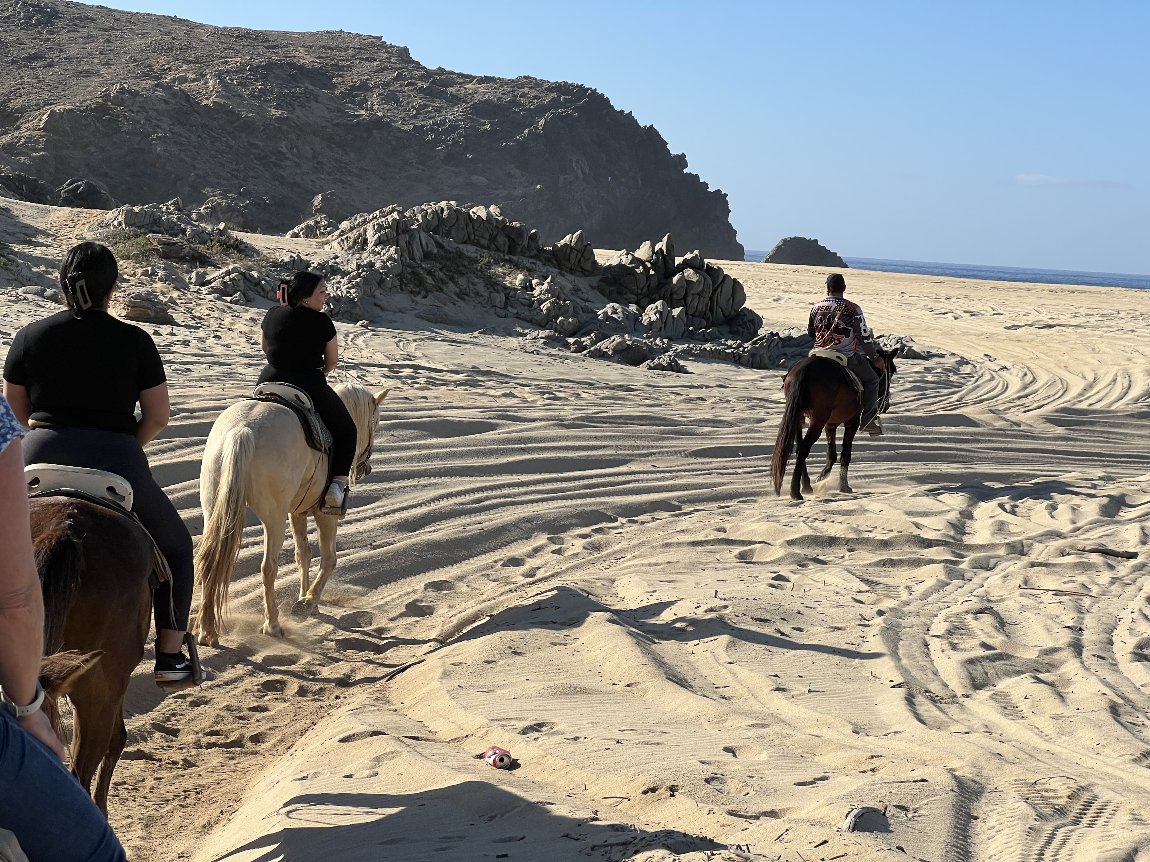 ./2024/13 - Cabo/IMG_4390.jpg